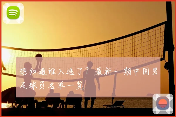 想知道谁入选了？最新一期中国男足球员名单一览