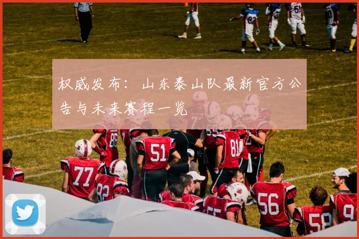 权威发布：山东泰山队最新官方公告与未来赛程一览