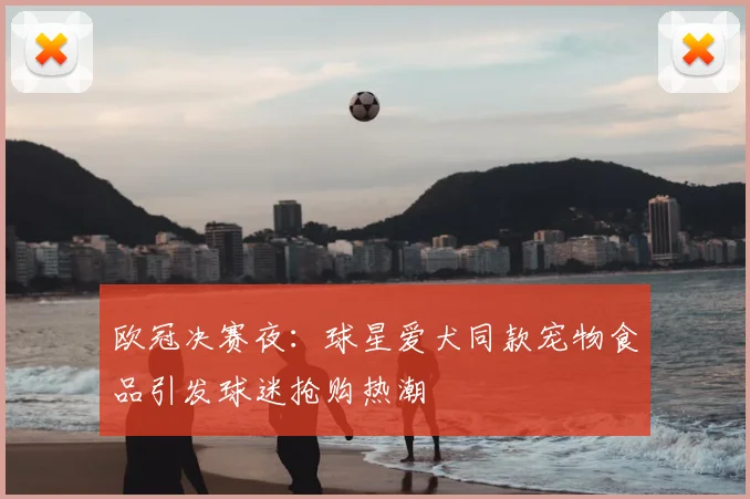 欧冠决赛夜:球星爱犬同款宠物食品引发球迷抢购热潮