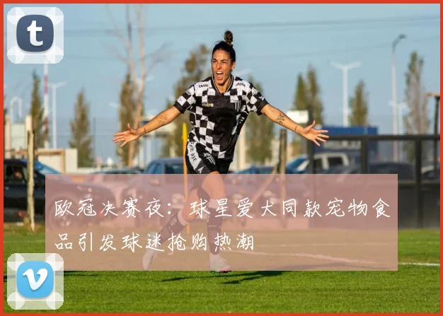 欧冠决赛夜：球星爱犬同款宠物食品引发球迷抢购热潮