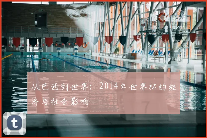 从巴西到世界：2014年世界杯的经济与社会影响