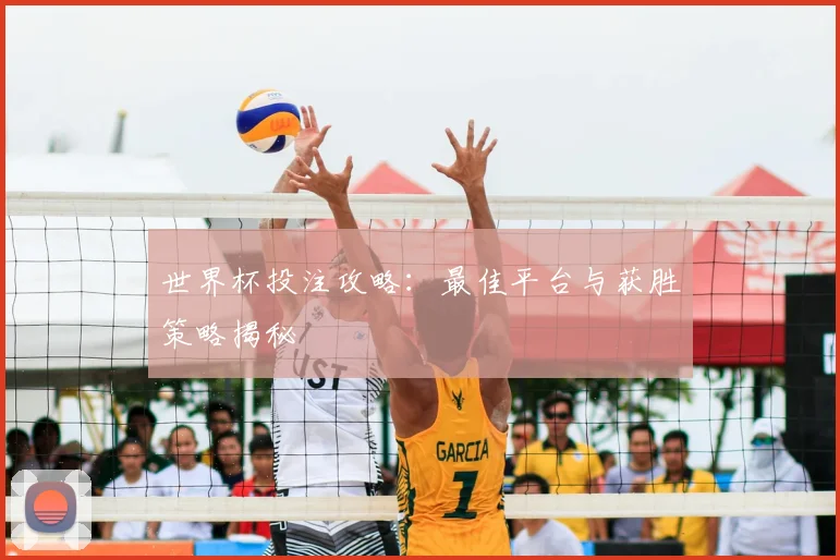 世界杯投注攻略：最佳平台与获胜策略揭秘