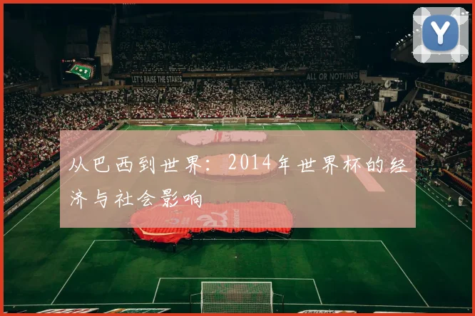 从巴西到世界：2014年世界杯的经济与社会影响