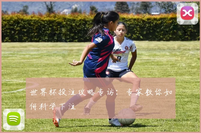 世界杯投注攻略专访：专家教你如何科学下注