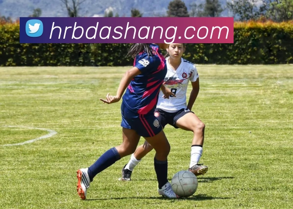 米兰体育官网登陆APP 封面图